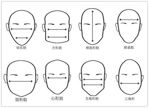 不同面相|面相说 